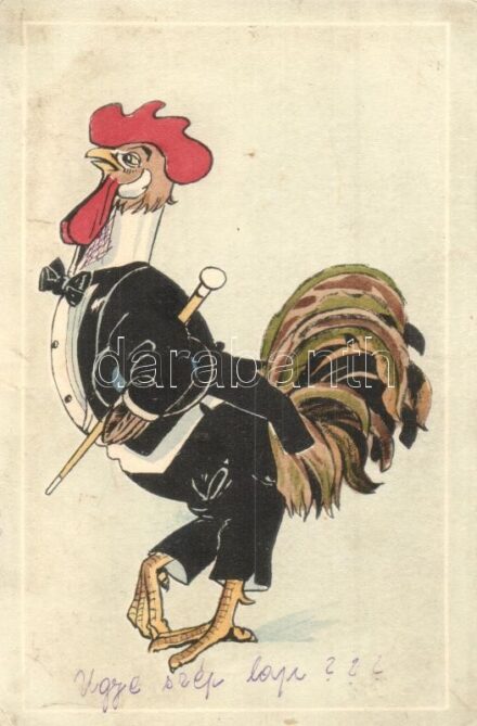 Gentleman rooster in tails