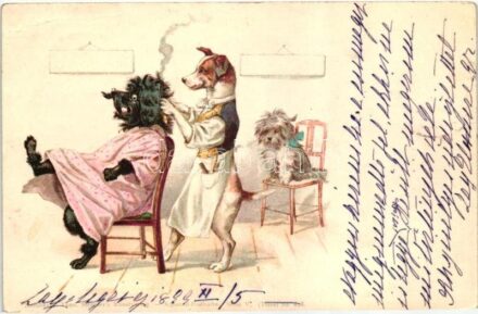 1899 Dog hairdresser. Theo. Stroefer's Kunstverlag Aquarell-Postkarte Serie V. (Tiere) No. 638. litho (EK)