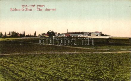 Societe Cooperative Vigneronne. The great Cellers of Rishon Le Zion. The vine-vat. Hebrew text, Edition Moshe Ordmann Nr. 45. Judaica / Zsidó szőlőhegy