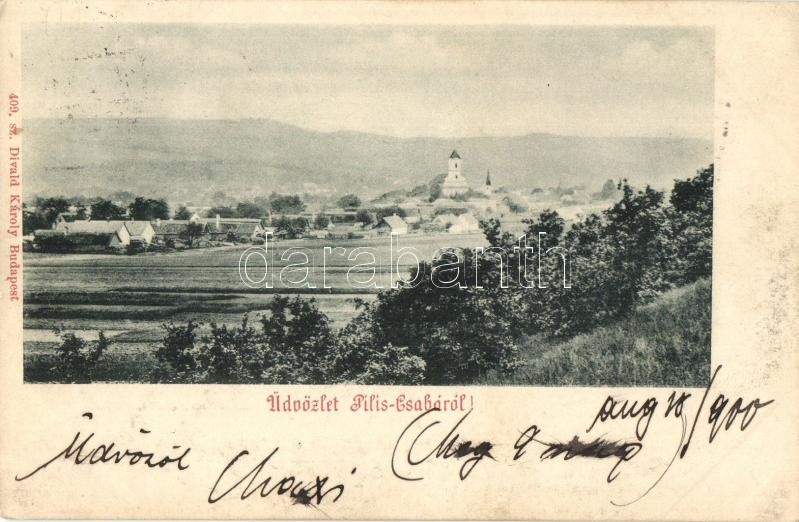 Piliscsaba, Divald Károly 409.