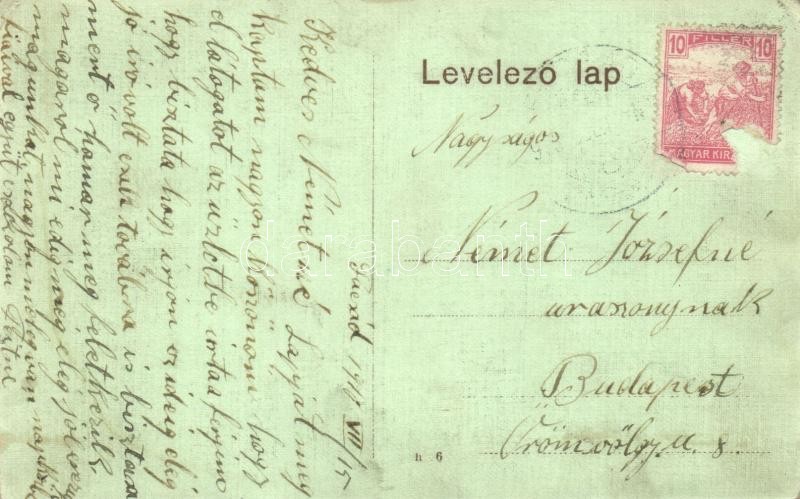 1910 Facset, Facsád, Faget; Hirschl Dávid és fia iroda és sörcsarnok / shop and beer hall (EK) - Image 2