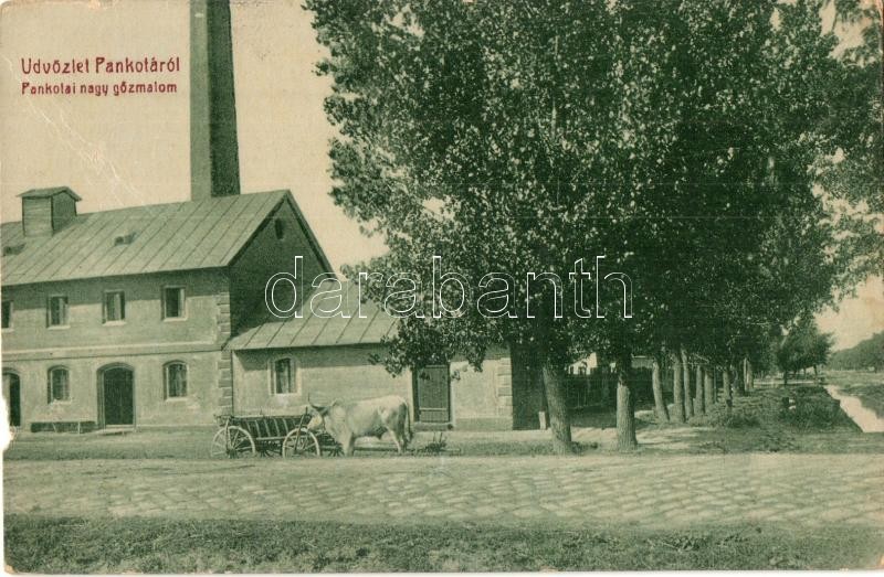Pankota, Pancota; Nagy gőzmalom. W. L. Bp. 5428. / steam mill (b)