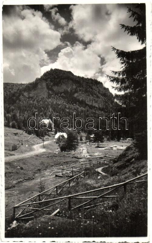 Gyilkos-tó környéke, Lacul Rosu, erdő / forest