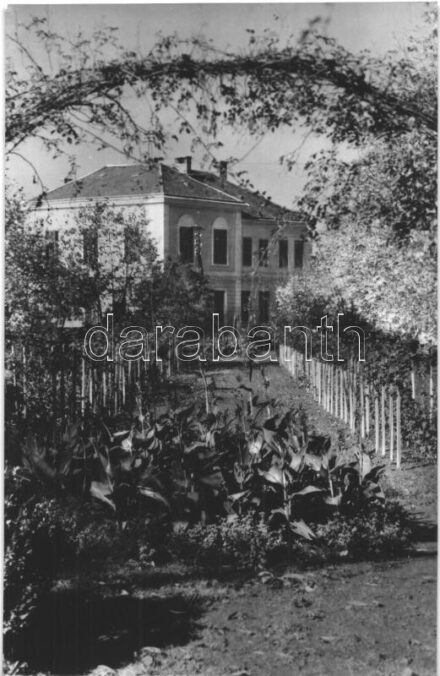 Nagyatád - 4 db modern városképes lap: kastély, park, utcakép, Mezőgazdasági Szakiskola (Képzőművészeti Alap)