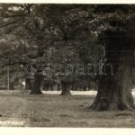 1928 Boksánbánya, Bocsa Montana; park / park. photo