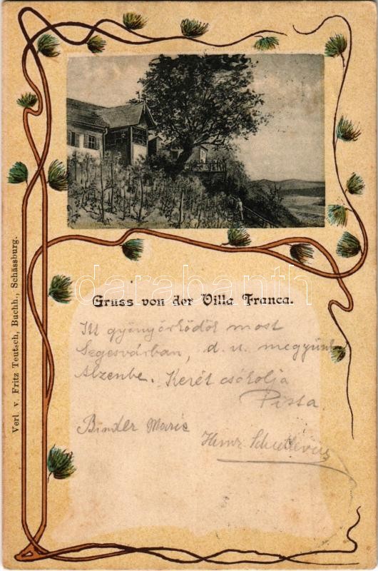 1901 Segesvár, Schässburg, Sighisoara; Villa Franca. Fritz Teutsch Art Nouveau, litho