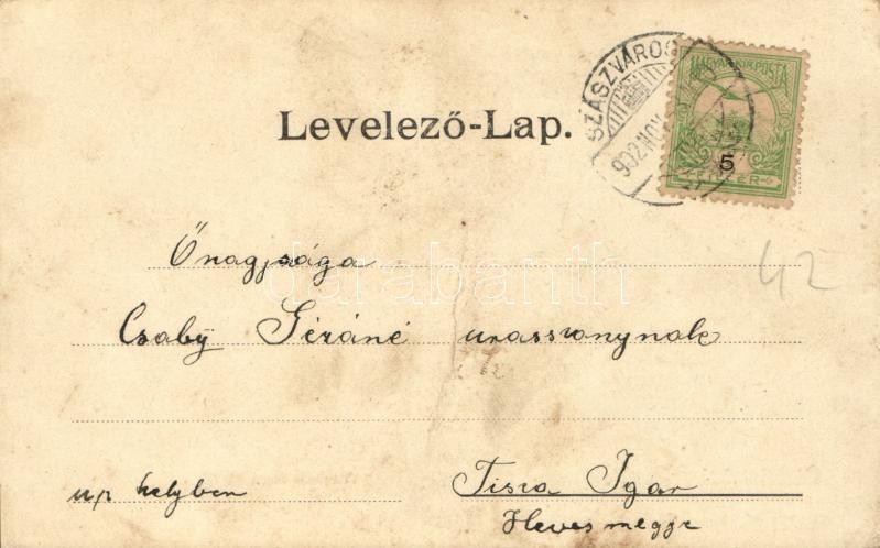1900 Szászváros, Broos, Orastie; Vásártér utca, üzletek. Kiadja Schuller A. / street view, shops (fa) - Image 2