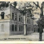 Petrozsény, Petrosani; Bányaigazgatósági hivatal / mine directorate's office (fa)