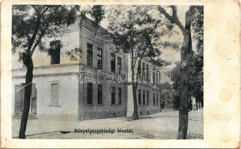 Petrozsény, Petrosani; Bányaigazgatósági hivatal / mine directorate's office (fa)