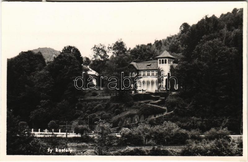 Csucsa, Ciucea; volt Ady kastély / castle