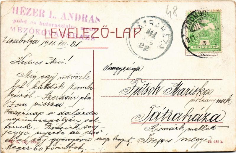 1911 Zsombolya, Hatzfeld, Jimbolia; Pályaudvar, vasútállomás. W. L. Bp. 1995. / railway station (EB) - Image 2