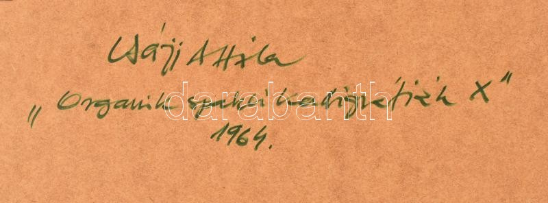 Csáji Attila (1939-): Organikus Spakli kalligráfiák X, 1964. Olaj, papír. Jelzett a hátoldalán. Üvegezett keretben. A művész korai absztrakt alkotása! 41x58 cm - Image 4