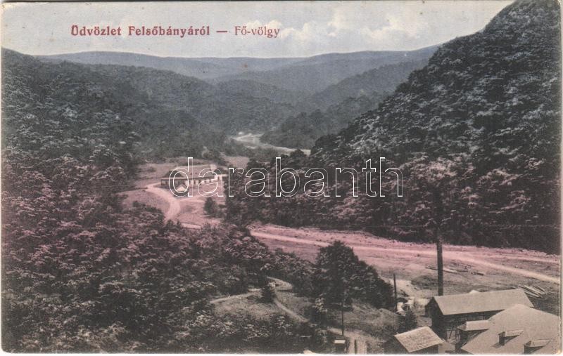 1913 Felsőbánya, Baia Sprie; Fő-völgy. Dácsek Péter kiadása / valley (EK)