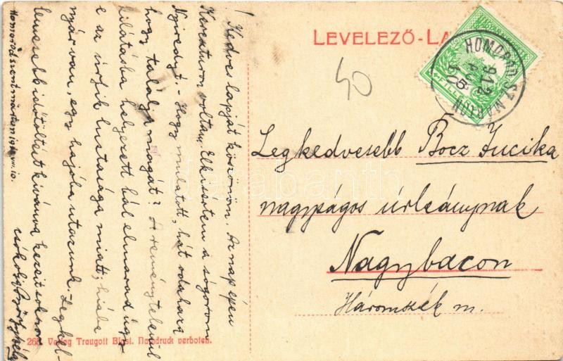 1912 Szászrégen, Reghin; park. Traugott Blosi (EK) - Image 2