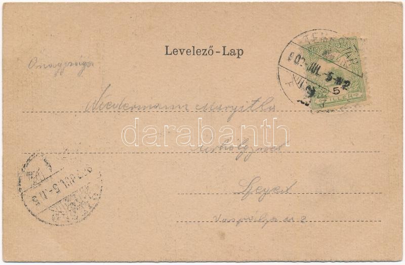 1902 Temesvár, Timisoara; Domtér, Szentháromság szobor. Címeres szecessziós litho keret / cathedral square, trinity statue. Art Nouveau, coat of arms, litho - Image 2