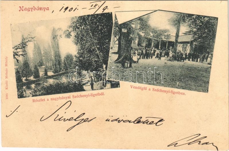 1901 Nagybánya, Baia Mare; Széchenyi liget, vendéglő. Molnár Mihály 1681. / park, restaurant