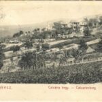 1908 Budakeszi, Kálvária hegy, szőlő. Stern Jakab kiadása (EK)