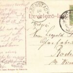 1908 Budakeszi, Kálvária hegy, szőlő. Stern Jakab kiadása (EK) - Image 2