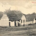 Almásegres, Ágris, Agrisu Mare; Tripon szőlőgazdaság házai / vineyards colony houses