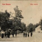 1909 Balatonszemes, Faluszemes; utca részlet. Deutsch József kiadása (fl)