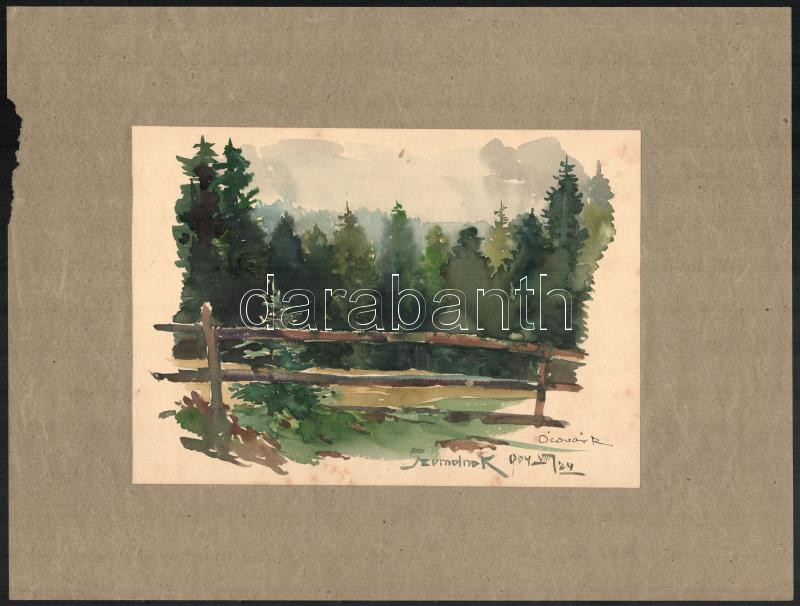 Ócsvár Rezső (1877-1968): Szomolnoki fenyves, 1904. Akvarell, papír, jelzett, kissé foltos, 16×22,5 cm. A festő Szomolnokon született 1877-ben! / watercolour on paper, signed. The painter was born in Smolnik!