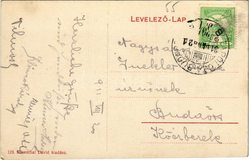 1911 Balatonkenese, Jánossy villa. Rosenthal Dávid kiadása (EK) - Image 2