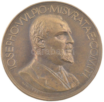 Olaszország 1925. 'Volpi Giuseppe' bronz kétoldalas emlékérem, Szign.: Attilio Silvio Motti (1867-1935) (60mm) T:1- szenny. Italy 1925. 'Volpi Giuseppe' bronze two-sides commemorative medallion, Sign.: Attilio Silvio Motti (1867-1935) (60mm)