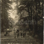 1905 Magyaróvár, Mosonmagyaróvár; Főhercegi kastély liget. photo (EK)