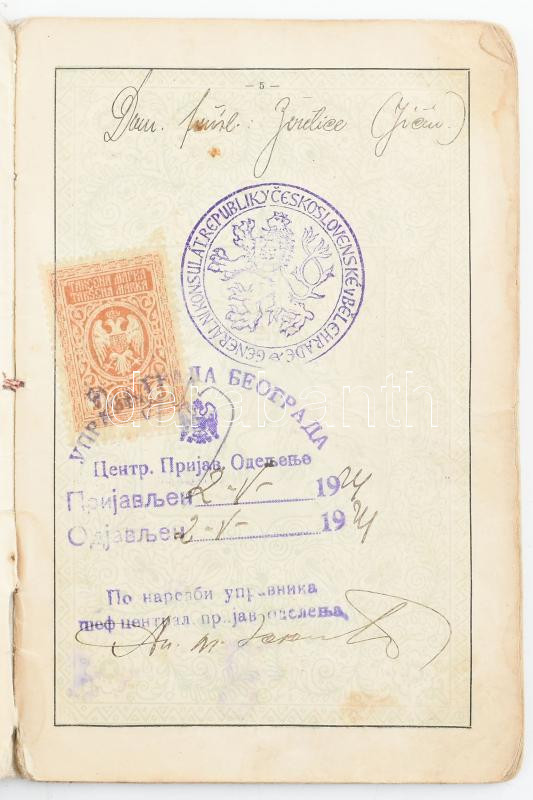 1924-1929 Csehszlovák Köztársaság fényképes útlevele, hölgy részére, számos bejegyzéssel, javított gerinccel, sérült elülső borítóval. - Image 3