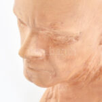 Borbás Tibor (1942- ): Bartók Béla büsztje. Terrakotta, jelzett, hibátlan 28 cm - Image 2
