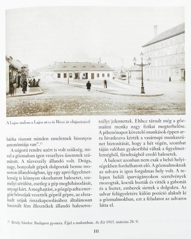 Klement Judit: Gőzmalmok a Duna partján. A budapesti malomipar a 19-20. században. Iparkodó Budapest. Bp., 2010., Holnap. Gazdag képanyaggal illusztrálva. Kiadói kartonált papírkötés. - Image 3