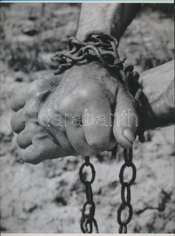 cca 1937 Ismeretlen szerző felvételéről mai nagyítás (összeláncolt kéz), jelzés nélkül, 24x17,7 cm