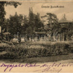 1905 Buziásfürdő, Baile Buzias; Park. Nosek Gusztáv kiadása / park, spa (EK)