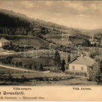 Borszék, Borsec; Villa csoport és Villa Aurora. Soós kiadása és reklámja a hátoldalon / villas. Publisher's advertisement on the backside (EM)