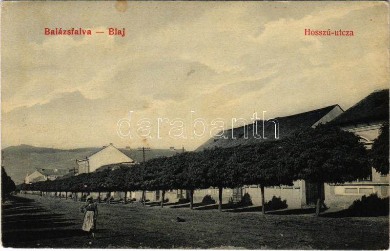 1908 Balázsfalva, Blasendorf, Blaj; Hosszú utca. Sinberger Salamon kiadása / street (EK)
