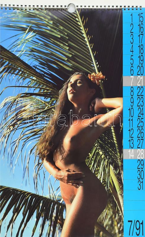 1991 Erotikus, akt falinaptár, ázásnyomokkal, 50x32 cm / Erotic nude calendar - Image 2