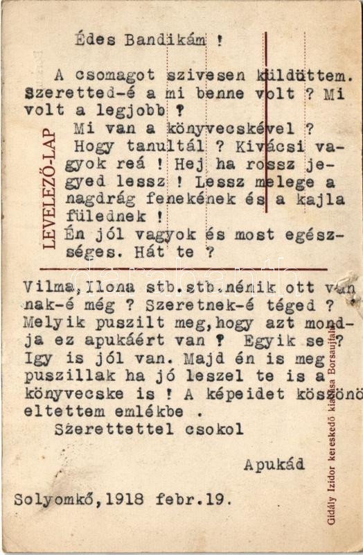 Borsaújfalu, Vultureni; község látképe. Gidály Izidor kiadása / general view (szakadás / tear) - Image 2