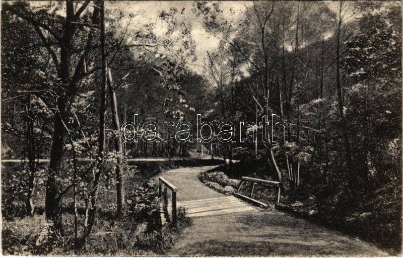1926 Boksánbánya, Németbogsán, Deutsch-Bogsan, Bocsa Montana; út. Adolf Rosner kiadása / road (fa)