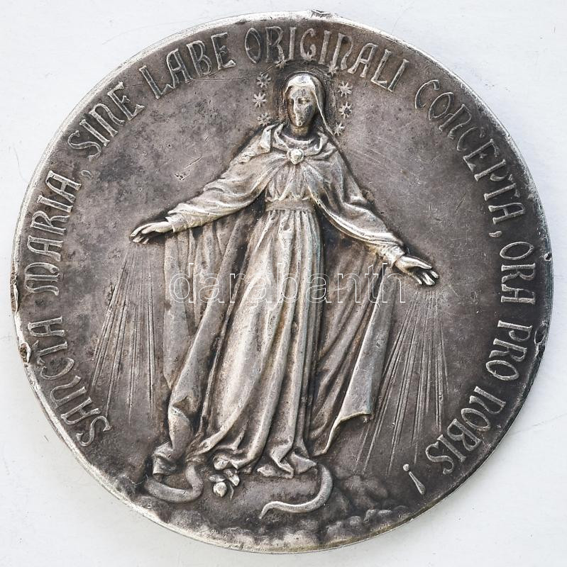 Maria B. V. della consolata ezüstözött fém emlékérem, medál. d: 45 mm - Image 2