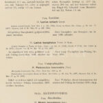 Zichy Jenő, gróf Harmadik ázsiai utazása -- Dritte asiatische Forschungsreise des - -. II. kötet. Bp-Leipzig., 1901. Hornyánszky-Hiersemann 470 p + XXVIII. t. Korabeli félvászon kötésben - Image 2