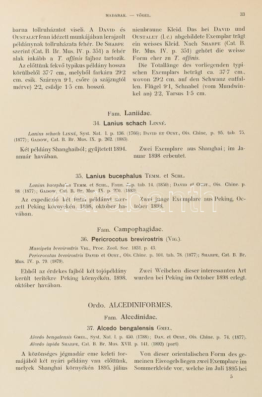 Zichy Jenő, gróf Harmadik ázsiai utazása -- Dritte asiatische Forschungsreise des - -. II. kötet. Bp-Leipzig., 1901. Hornyánszky-Hiersemann 470 p + XXVIII. t. Korabeli félvászon kötésben - Image 2