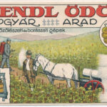Arad, Hendl Ödön gépgyár reklámlapja. Szőlészeti és borászati gépek. Alapíttatott 1872. Bruchsteiner és Fia / Fabrici de masini de viticultura si vinicultura Edmund Hendl Arad, Str. Marasesti 47. / machine factory advertisement card,