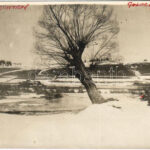 Galócás, Galautas; A kanyargó Maros folyó mentén télen / Mures riverside in winter. photo