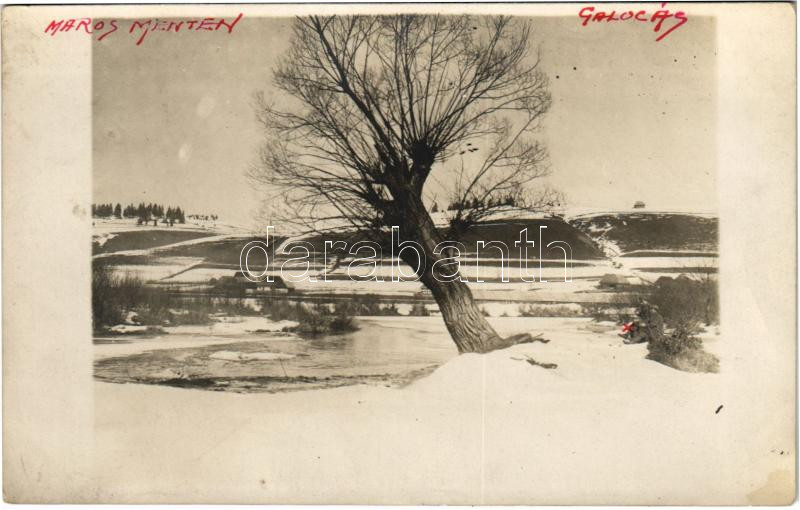 Galócás, Galautas; A kanyargó Maros folyó mentén télen / Mures riverside in winter. photo