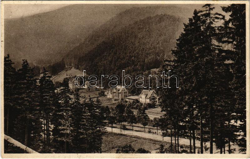 1929 Lautenthal im Harz, An der Bismarckpromenade