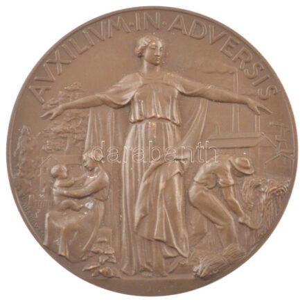 Olaszország / Trieszt 1938. 'Az Adriai Biztosító Társulat 100 éves jubileumára' kétoldalas bronz emlékérem. Szign.:Mistruzzi / Pagani (56mm) T:1- Italy / Triest 1938. '100th Anniversary of the Adriatic Insurance Company' two-sided bronze