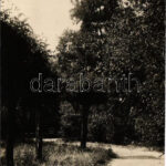 1930 Gyopáros-fürdő (Orosháza), park. photo