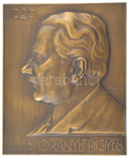Csillag István (1881-1968) 1929. 'Dr. Báró Korányi Frigyes' egyoldalas bronz plakett (68x55mm) T:2 több ü. HP.: 1777.