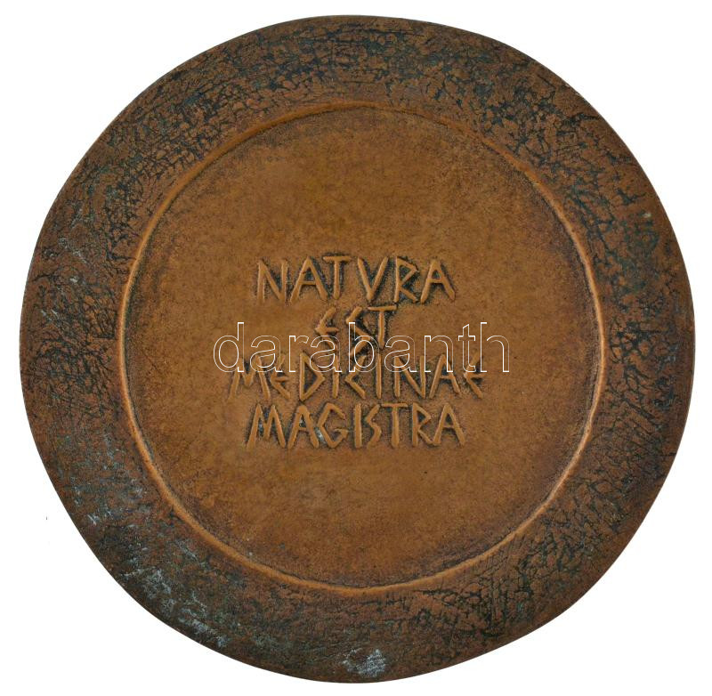 Ausztria 1973. 'Nemzetközi Aeroszológiai Társaság 1. Kongresszusa - Bécs' Br plakett (100mm) T:1 Hungary 1973. 'International Society of Aerosology - 1st Congress - Vienna' Br plaque (100mm) C:UNC - Image 2