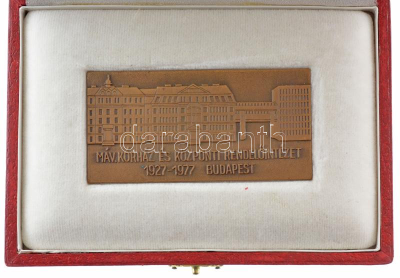 1977. 'Máv. Kórház és Központi Rendelőintézet 1927-1977, Budapest' bronz emlékplakett eredeti tokban (40x80mm) T:1